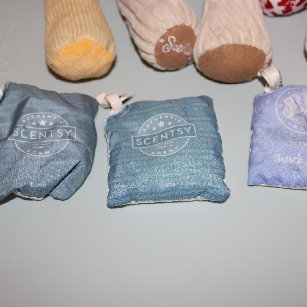 3 Scentsy Buddy & Scent Packets Lamb, Teddy Bear, and Roarbert the Lion - Picture 3 of 10